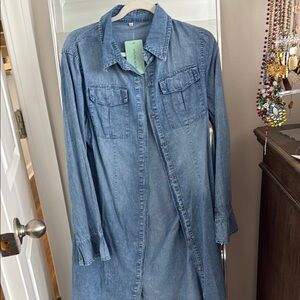 Denim Button-Up Shirt Dress